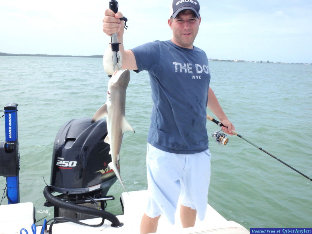 Neil_n_shark