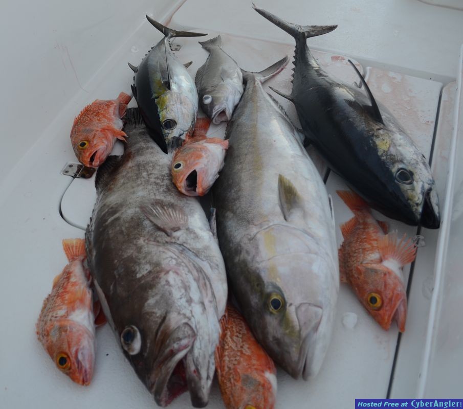 Click to Enlarge Photo