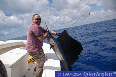 Click to Enlarge Photo