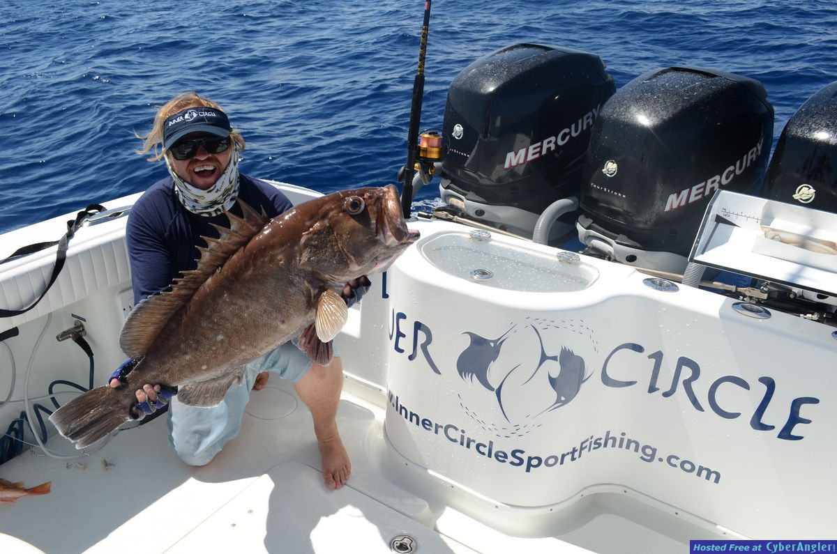 Click to Enlarge Photo