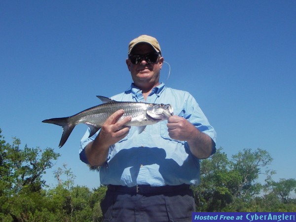 April Baby Tarpon