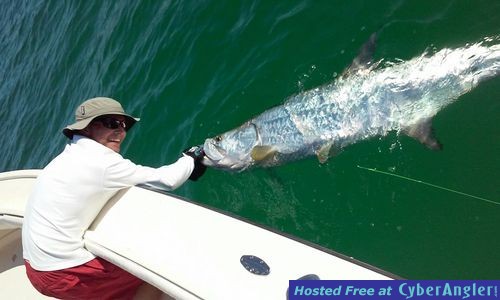 Click to Enlarge Photo