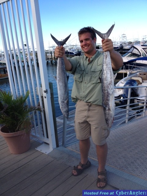 Mackerel Mayhem