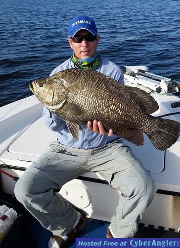 16.5 lb tripletail