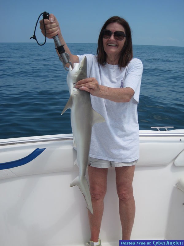 35-inch blacknose-Betty