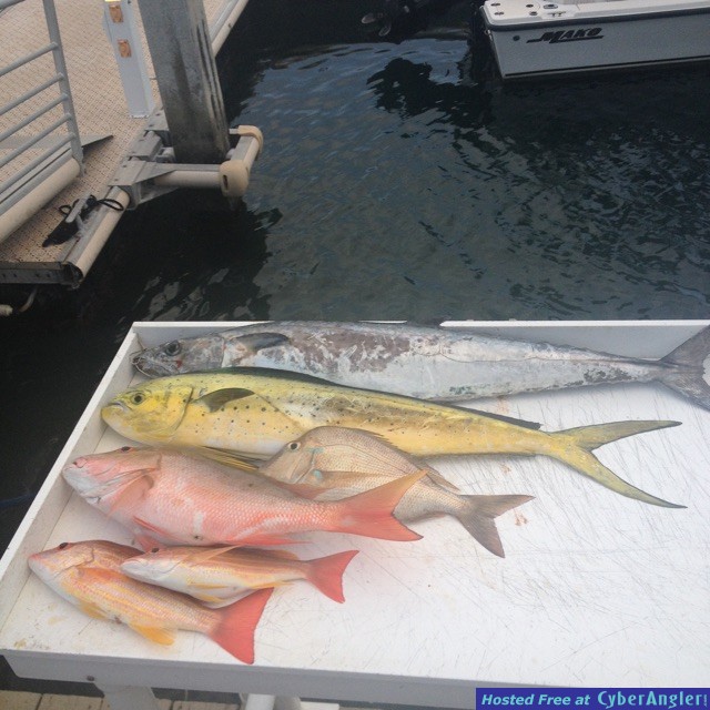 Jupiter Fishing Charters