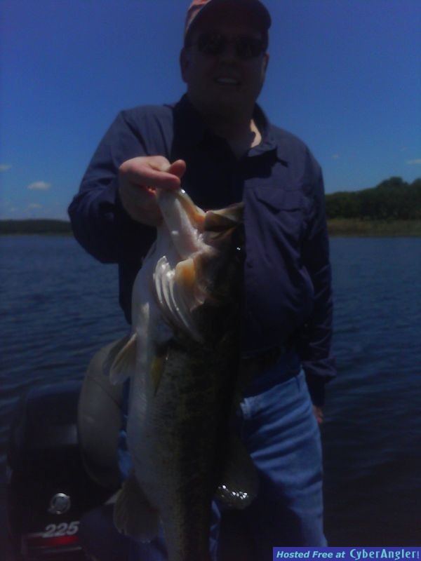 Summer Lunker