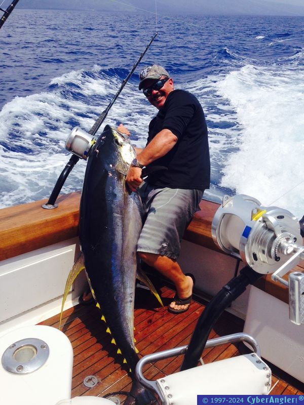 170 pound Pacific Yellowfin Tuna