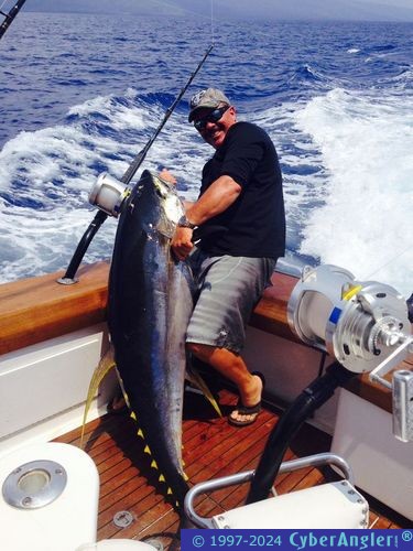 170 pound Pacific Yellowfin Tuna