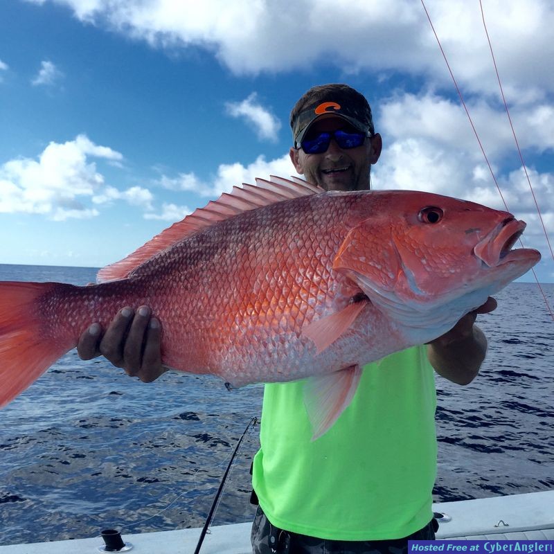 Red Snapper
