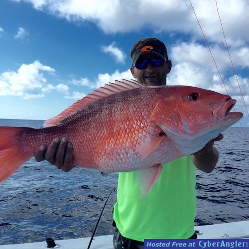 Red Snapper