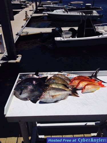 Click to Enlarge Photo