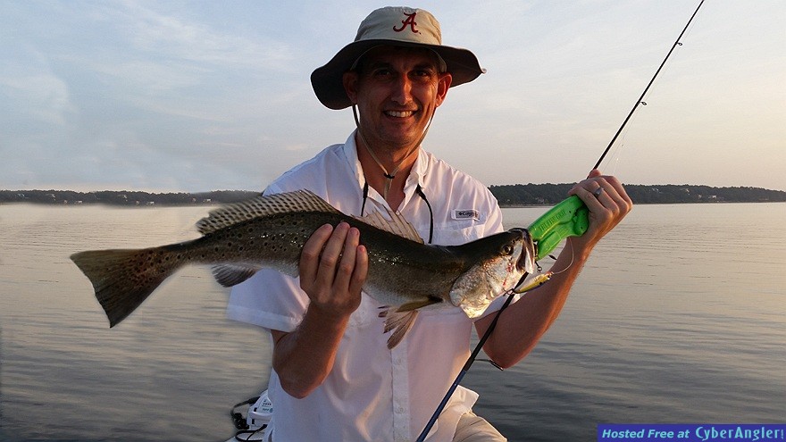 Trout