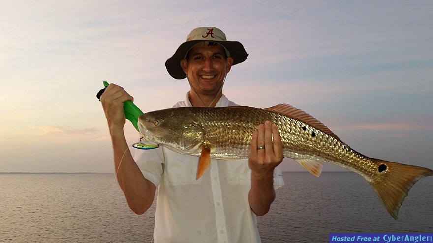 Redfish