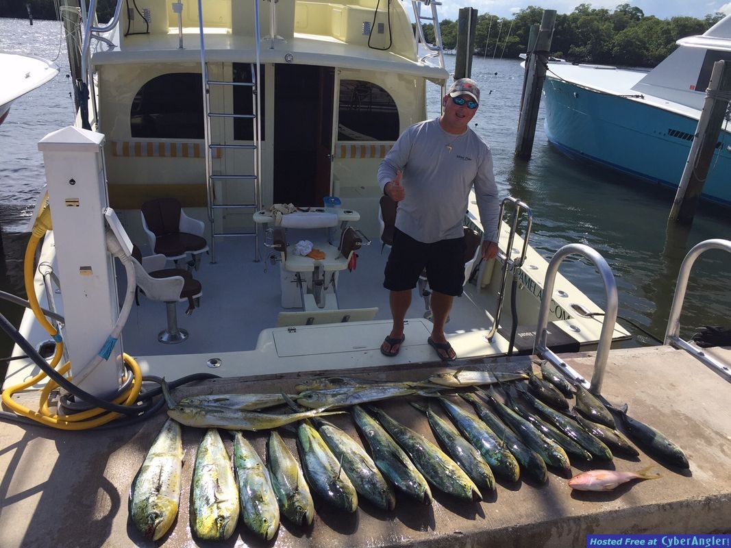 Mahi Maddness