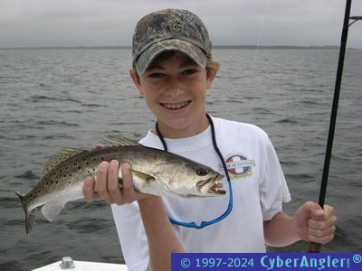 Click to Enlarge Photo