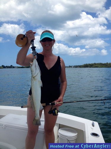 snook reds flounder trout