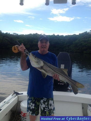 snook reds flounder trout