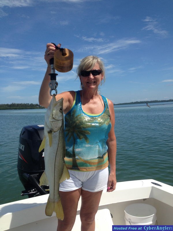 snook reds flounder trout
