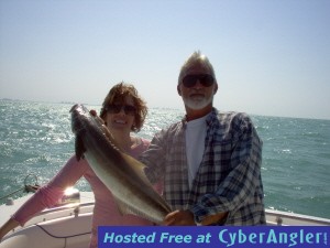 31 inch cobia