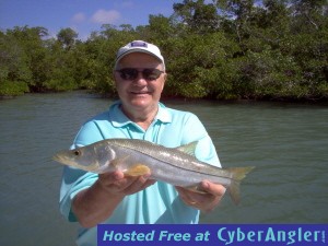 23 inch snook