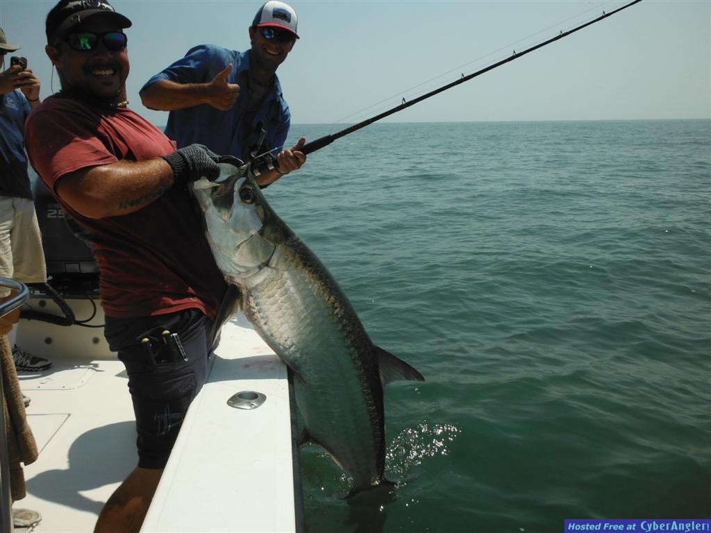 Tarpon Fishing