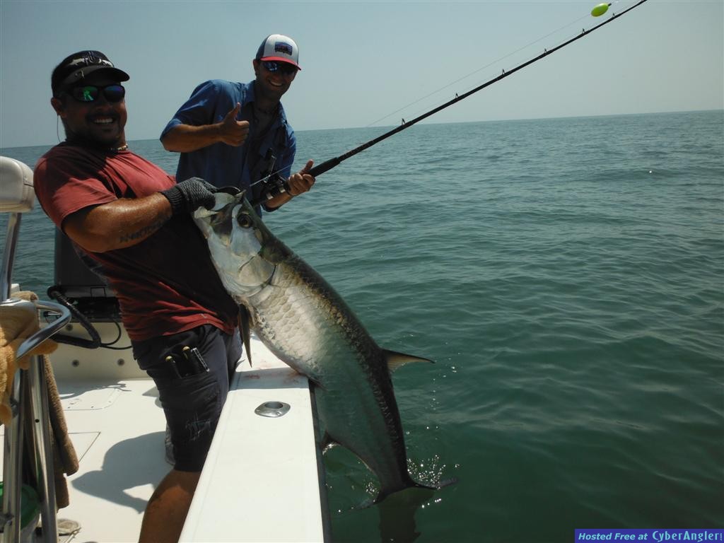 Tarpon Fishing