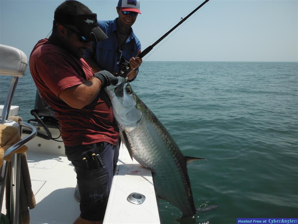 Tarpon Fishing