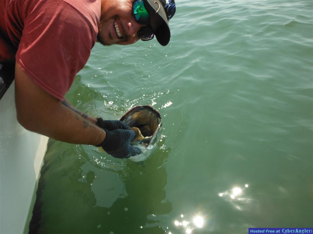 Tarpon Fishing