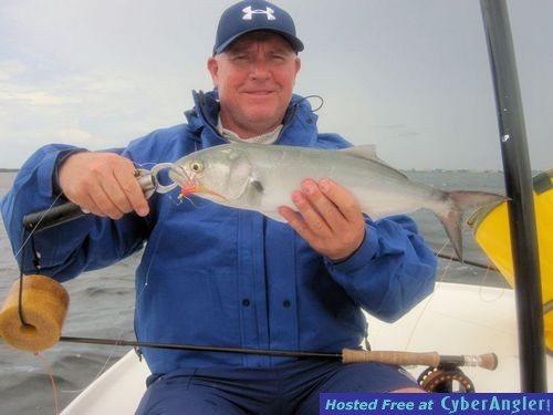 Kirk Grassett Sarasota Bay fly bluefish
