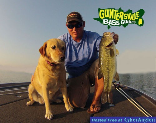 Click to Enlarge Photo