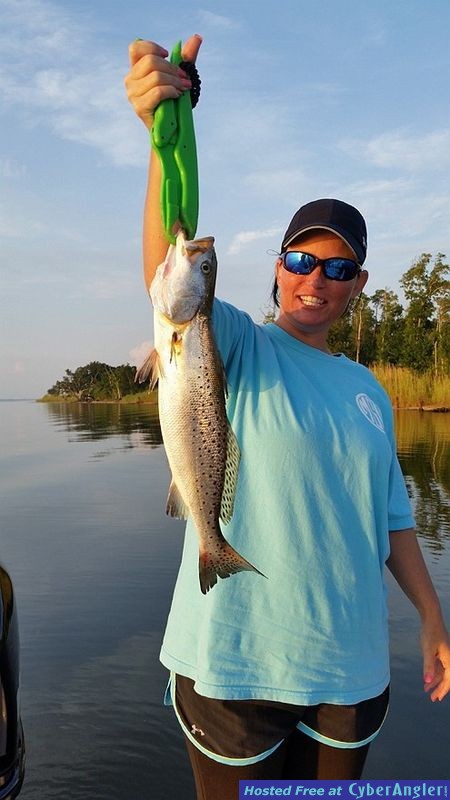 Trout