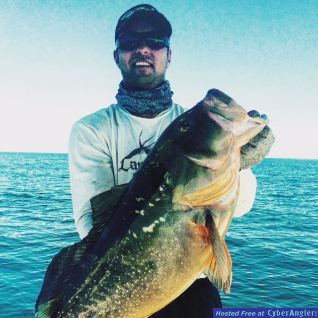 Click to Enlarge Photo