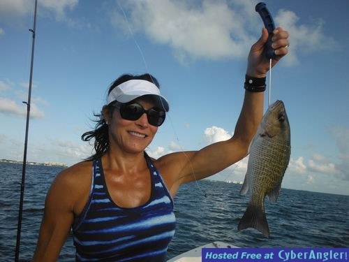 Click to Enlarge Photo