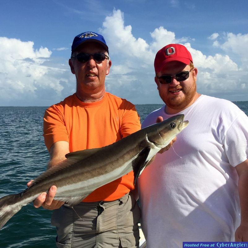 Palmer_cobia