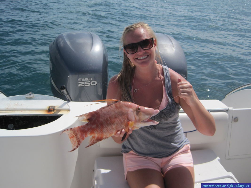 17-inch hogfish-Jensen