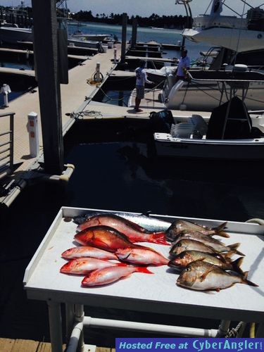 Click to Enlarge Photo