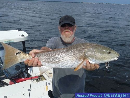 Tampa Flats Fishing Charters Photos
