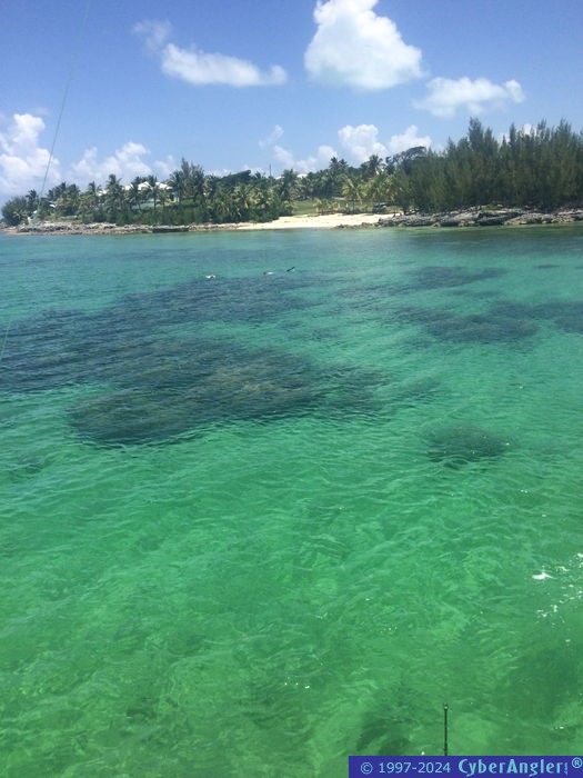 Bahamas Fishing Trip