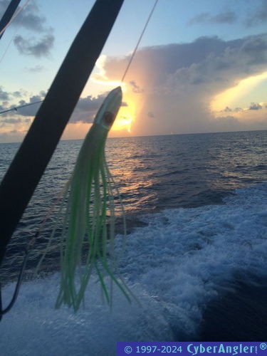 Bahamas Fishing Trip
