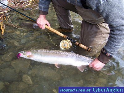 Steelhead Spey Fly Fishing at its BEST