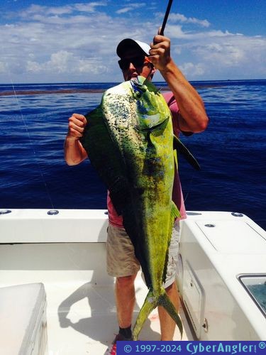 Click to Enlarge Photo