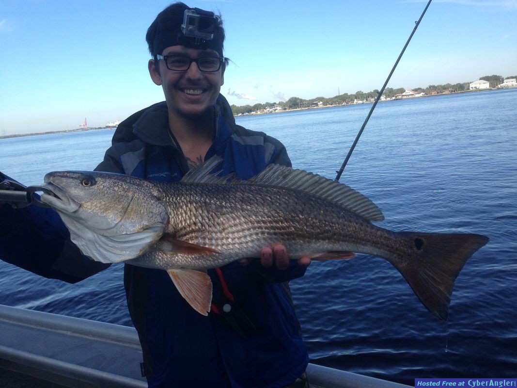 Jacksonville Fishing