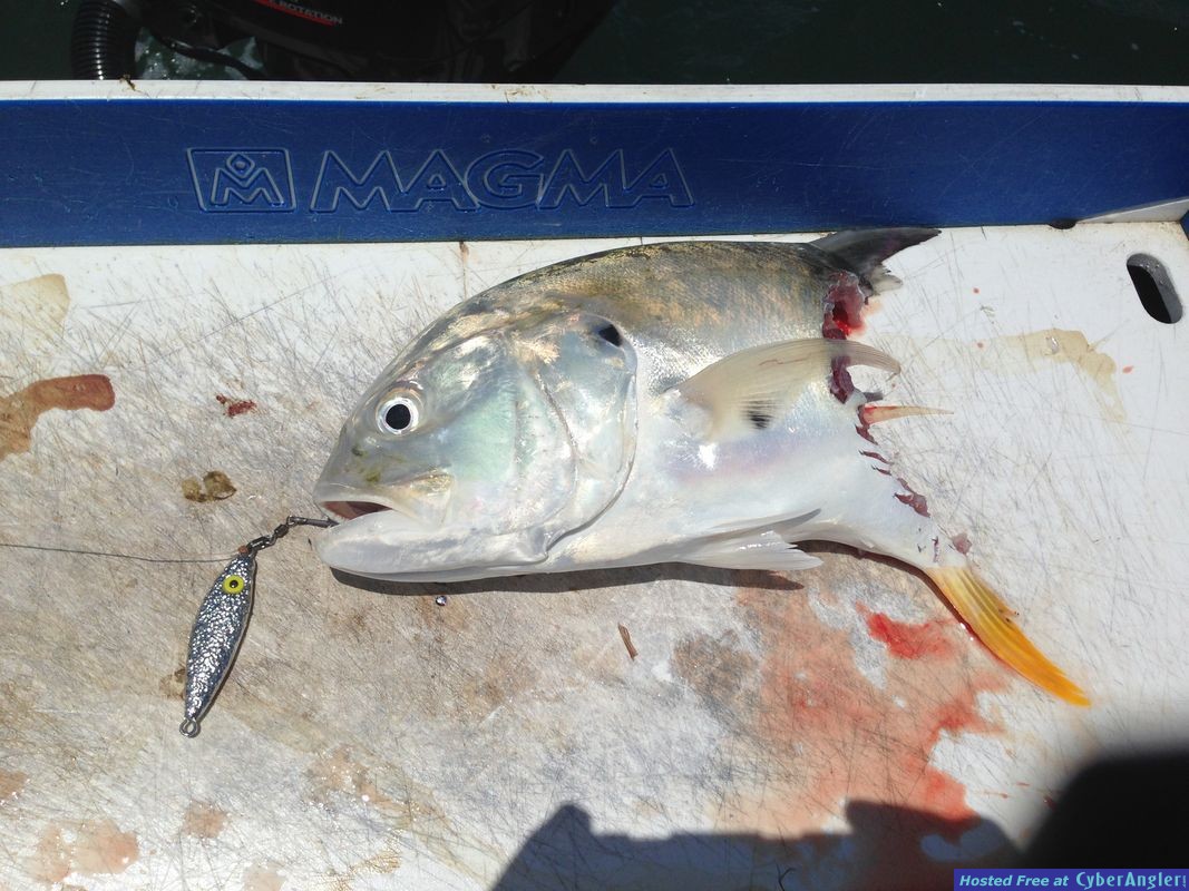 Jacksonville Fishing