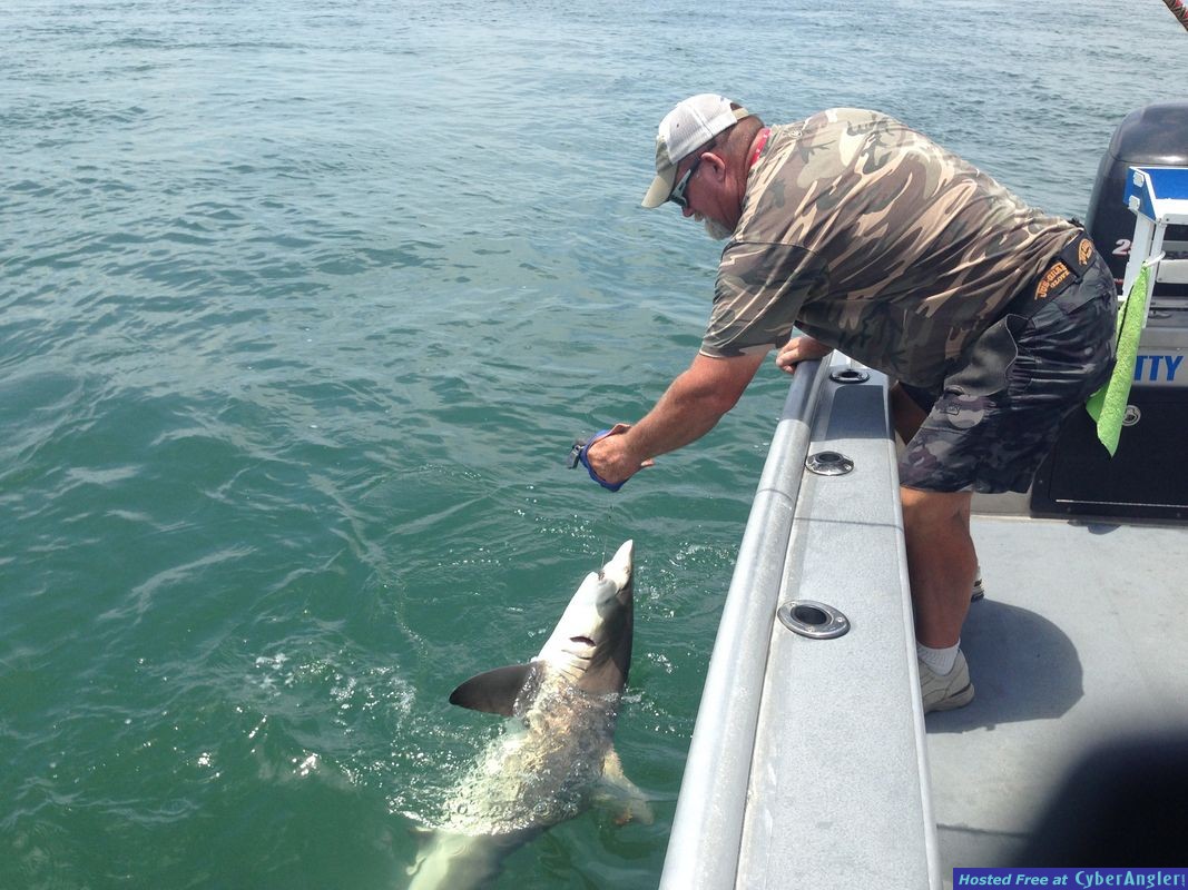 Jacksonville Fishing
