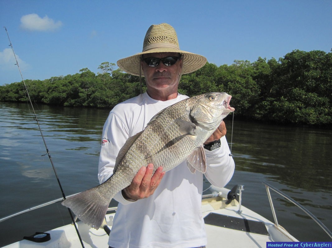 25-inch black drum-Lynch