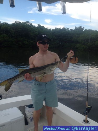 snook, reds, trout, snapper