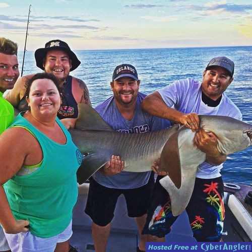 nurse shark