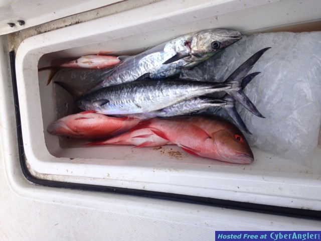 Dinner