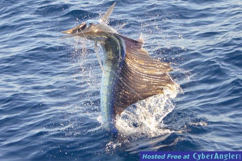 Click to Enlarge Photo